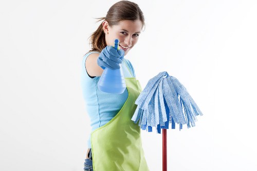Professional window cleaning in Hammersmith for bright, clear glass