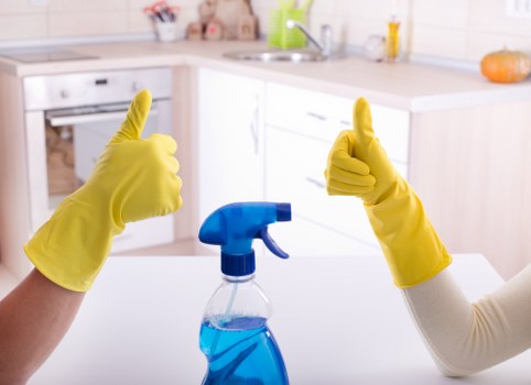 Cleaning professional preparing safe deep cleaning equipment
