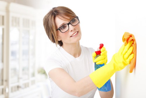 Graphic symbolizing accessibility support and inclusive deep cleaning information