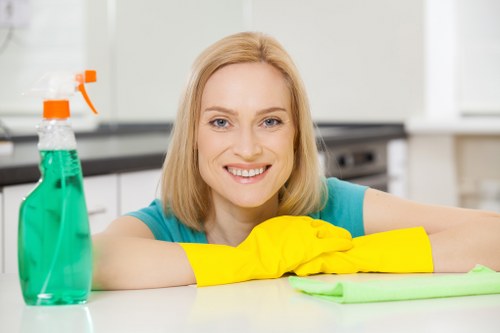Payment and invoice details for a professional deep clean