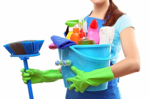 Vacuuming and dusting a modern flat in Hammersmith
