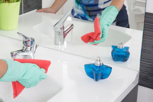 Detailed cleaning of kitchens and living spaces